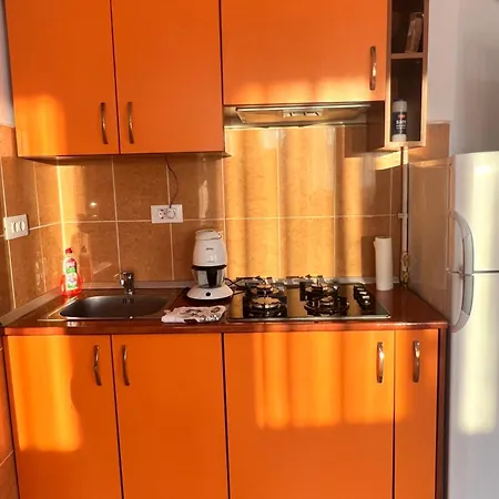 Apartament Summerland Crina 公寓